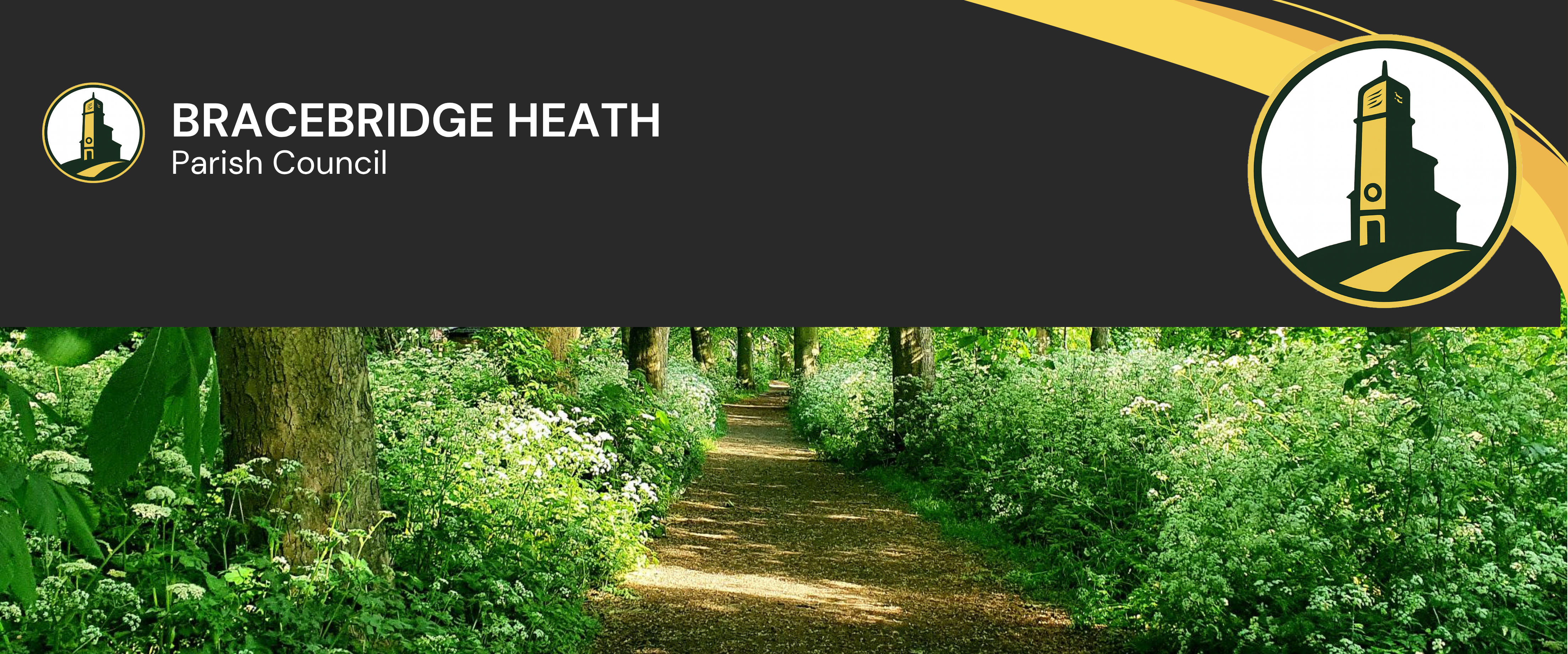 Website banner - trees